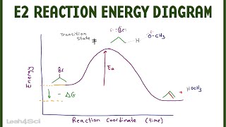 E2 Reaction Coordinate Energy Diagram [upl. by Otila124]