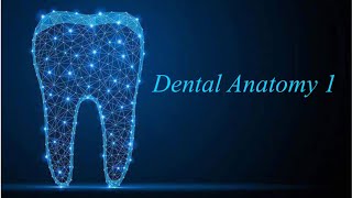 1  Anatomical Landmarks Of The Maxilla And Mandible [upl. by Laynad]