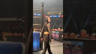 WWE Paige in EAw Full match highlights nxt wwe [upl. by Odlaner810]