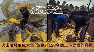 火山噴發形成大量「黃金」，150名礦工不要命的搬運 [upl. by Markus]