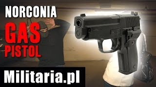 Pistolet Gazowy Norconia Gas Pistol  Militariapl [upl. by Malinin433]