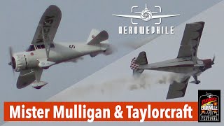 Aerobatic Displays by 2 Classics  ClippedWing Taylorcraft amp “Mister Mulligan” Howard DGA6 20Apr24 [upl. by Aninnaig510]