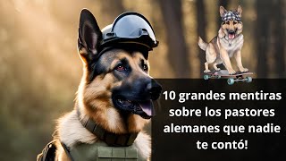 Desmentimos los mitos más comunes sobre los Pastores Alemanes ¿VERDADERO O FALSO perro razas [upl. by Essie751]