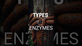 TYPES oF ENZYMES neetug mbbs neetpg biochemistry [upl. by Earahs527]