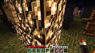 Minecraft Default 3D Texture pack review 1010 [upl. by Nirhtak]