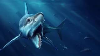 Helicoprion [upl. by Dhiman]