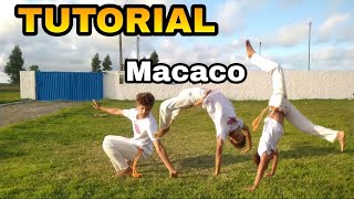 Capoeira Tutorial 16 Macaco  Macaquinho  Pulo do Macaco [upl. by Assirac]