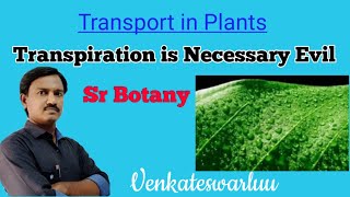 Transpiration is necessary evil  Transport in Plants [upl. by Efioa]