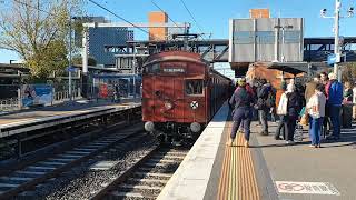 Steamrail Watergardens Steam amp Tait shuttles [upl. by Earazed307]