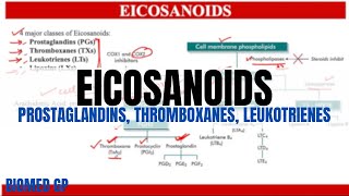 Eicosanoids Prostaglandins Thromboxanes and Leukotrienes [upl. by Howlond]