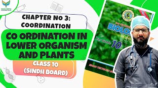 CoOrdination in lower Organisms and plantClass 10Chapter 5 shaheencoachingcenter sindhboard [upl. by Selec201]