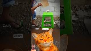 memes cat мем gato duet music art voiceeffects automobile subscribe sorts [upl. by Pepe]