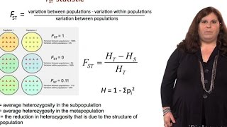 Measuring Genetic Variation FST Statistic  Sarah Tishkoff U Pennsylvania [upl. by Sucerdor]