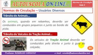 21 NORMAS DE CIRCULAÇÃO  Luzes e Buzina Pedestres Animais e Outros [upl. by Putscher102]