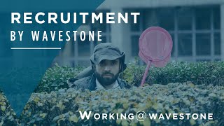 Relevez de nouveaux défis avec l’équipe recrutement de Wavestone [upl. by Guillema]