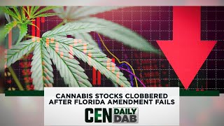 Cannabis Stocks Clobbered After Florida Amendment Fails [upl. by Suoirrad871]