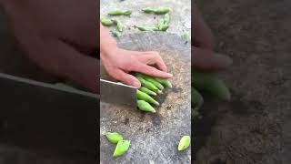 Edamame cutting process Good tools and machinery can increase work efficiency [upl. by Ailekahs]