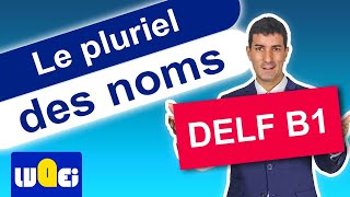 le pluriel des noms  DELF B1  Grammaire [upl. by Vinna]