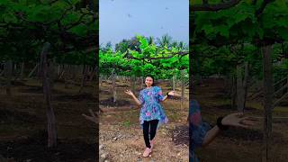 Eppudu appudu ne maruvalenidi dance jyothipottapalli viraldance trending funnycomedy video [upl. by Adiaros]