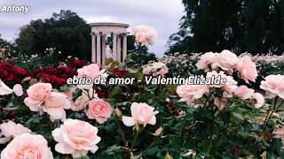 Valentín Elizalde  Ebrio de amor Letra [upl. by Godard]