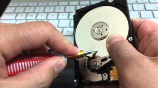 Disassembling a Hard Drive with TechPro Tools Torx Screwdrivers [upl. by Farrow]