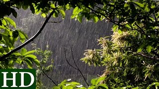 Regen  HD  Regengeräusche und Naturgeräusche [upl. by Iline267]