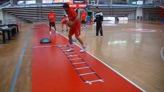 Trabajo de Pies en Baloncesto Profesional wwwxavischellingcom [upl. by Jb183]