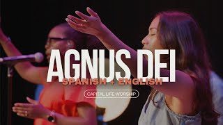 Agnus Dei  Spanish  English [upl. by Borries]