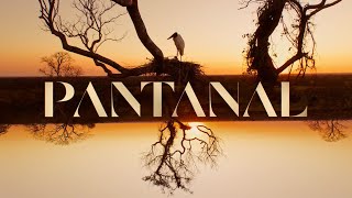 Pantanal a abertura da nova novela das 21h 🐆  TV Globo [upl. by Nwahsauq]