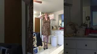 Crossdresser Michelle Willmington modeling leopard print dress with black pumps [upl. by Pinchas]