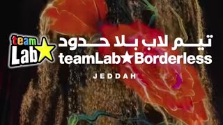 inside TeamLab Borderless Exhibit in Jeddah 🇸🇦  is it worth it  Jeddah Travel Vlog [upl. by Krug]