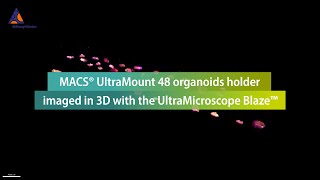 MACS® UltraMount 48 organoids holder imaged in 3D with the UltraMicroscope Blaze™ [upl. by Derzon]