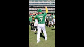 Oakland As fans kick cupholders off seats on way out of coliseum  Final As home game [upl. by Novyert]