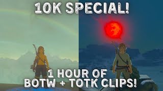 1 HOUR of BOTW  TOTK CLIPS from Das and Dassy  THANK YOU FOR 10k SUBSCRIBERS [upl. by Jerry]