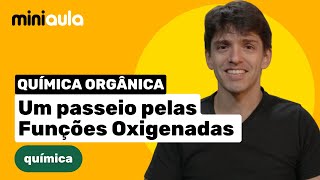 Um passeio pelas Funções Oxigenadas  Química Orgânica  MINIAULA [upl. by Otha]