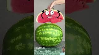 Goodland goodland watermelon funny doodlecraft doodly fruit comedy doodlebuddies doodle [upl. by Rapp]