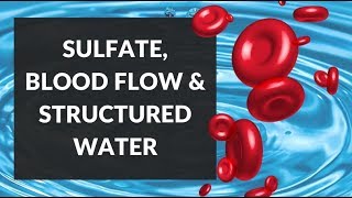 Sulfation EZ Water amp Red Blood Cells Maintaining Blood Flow [upl. by Essirahc689]