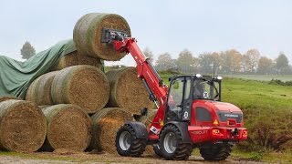 Weidemann – Teleskopradlader 4080LPT Einsatz in der Landwirtschaft [upl. by Assiled815]