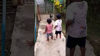 Babies Playing with street dog 🐕 shorts [upl. by Lynn]