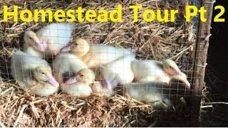 Homestead Tour July Part 2 [upl. by Ettelrac]