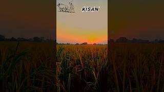 Farming  sunset  abhiraj07 farming viralvideo shorts comedy [upl. by Constant]