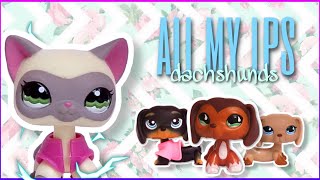 ALL MY LPS 2  Dachshunds [upl. by Annaoy]