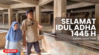 KANDANG KOSONG DAN SIAP DIISI SAPISAPI SUPER ‼️  SUMBER TERNAK FARM [upl. by Deanna]