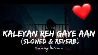 Kalyan Reh Gaye Aan FULL SONG Sunny Brown  Brand New Punjabi Song [upl. by Anihcak]