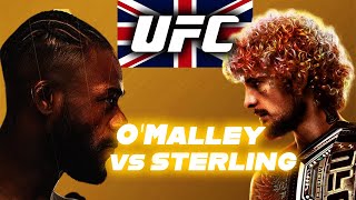 The Rematch Sean OMalley vs Sterling [upl. by Naved984]