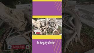 Vietnam tour Da Nang city shortvideo travel tourist trending [upl. by Goran240]