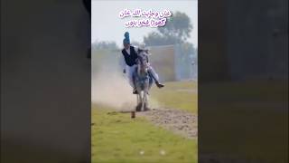 All pakistan horse riding Mela best performance by Alkabeer club best rider award [upl. by Ofori]