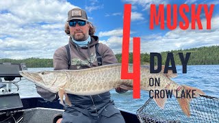 4 Musky Day on Crow Lake Chasing unicorns at Muskie Bay Resort [upl. by Awad310]