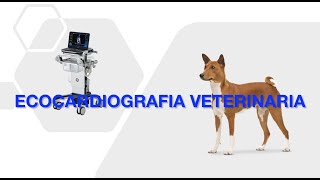 Ecocardiografia veterinaria [upl. by Ariik315]