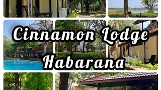 Cinnamon Lodge 🏕🐘🌳  Habarana  Sri Lanka cinnamonlodge habarana visitsrilanka travel [upl. by Naesad]